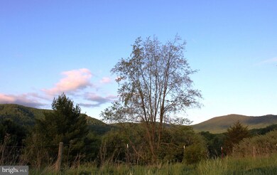 0 Evergreen Ct unit 1000403659, Bentonville, VA 22610 - photo 5