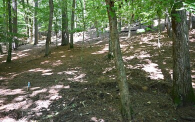 Additional View