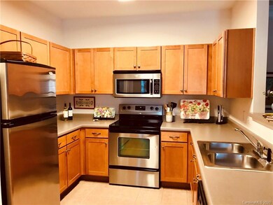 535 Appeldoorn Cir unit 535, Asheville, NC 28803 - photo 4