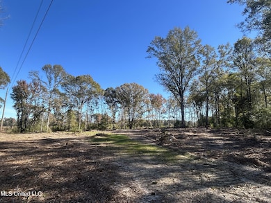 unlisted-address, Mendenhall, MS 39114 - photo 4