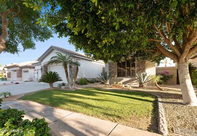 351 W Vinedo Ln, Tempe, AZ 85284 - photo 3