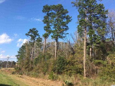 2586 -2632 Highway 378, Conway, SC 29527 - photo 7