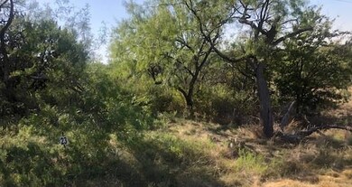 Lot 25 Turner Ranch Rd, Brownwood, TX 76801 - photo 4