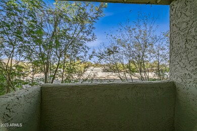 3141 E Cypress St unit 7, Phoenix, AZ 85008 - photo 3