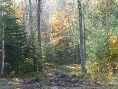 7 Rocky Rd, Winhall, VT 05340 - photo 4