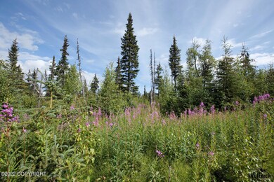 D24 Alaskan Wildwood Ranch(r), Nikolaevsk, AK 99556 - photo 7