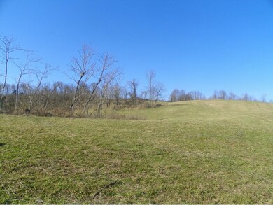 TBD Old Baxter Rd, Fall Branch, TN 37656 - photo 4