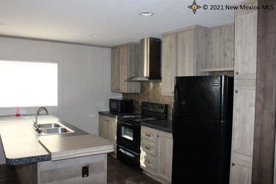 4206 Willow St, Carlsbad, NM 88220 - photo 6