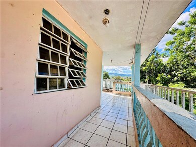 Carr 159 Sostre, Corozal, PR 00783 - photo 4