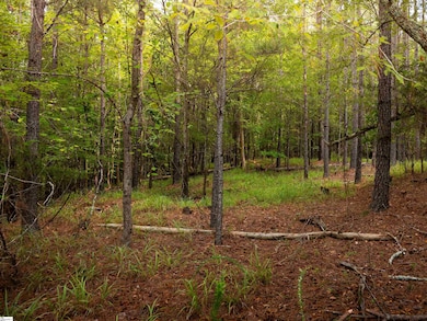 07 Neal Shoals Rd, Union, SC 29379 - photo 7