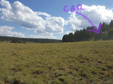 3 - Top of Property with Car on the Road