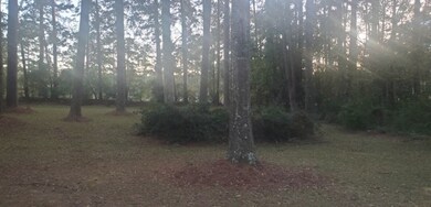 1113 Virginia Ave, McComb, MS 39648 - photo 4