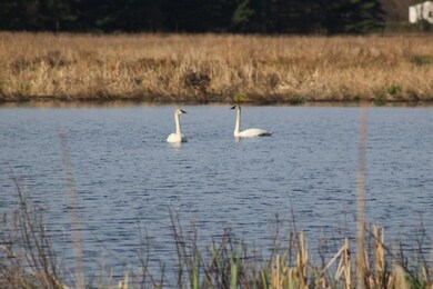 N8573 County Road H, Camp Douglas, WI 54618 - photo 4