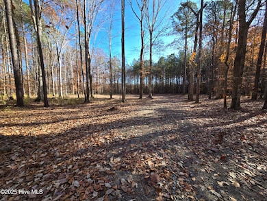 309 See View Ln, Hertford, NC 27944 - photo 5