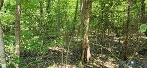 1380 Jasmine Rd, Goochland, VA 23063 - photo 6