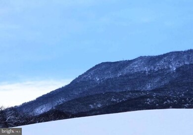 Lot 9 Sandy Hook Far Sandy Hook Rd, Strasburg, VA 22657 - photo 4