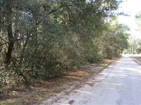 lot on Crawfordville Hwy, Crawfordville, FL 32327 - photo 3