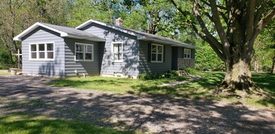 1105 133rd Ave, Wayland, MI 49348 - photo 2