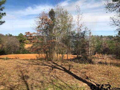 13149 Fm 848, Whitehouse, TX 75791 - photo 7