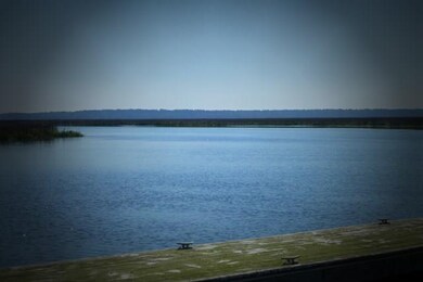 6 Belle Hammock Rd NE, Shellman Bluff, GA 31331 - photo 7