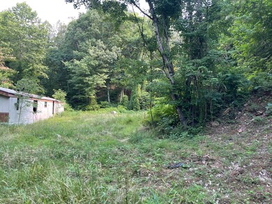 176 Dalewood Rd, Johnson City, TN 37601 - photo 3