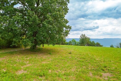 1984 Brow Rd, Trenton, GA 30752 - photo 5