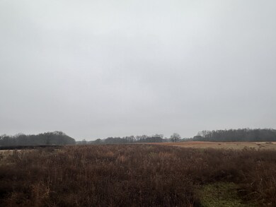 0 Rushing Rd, Ethridge, TN 38456 - photo 7