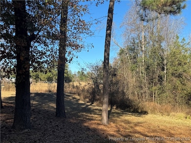 197 Pine Hill Rd, West End, NC 27376 - photo 2