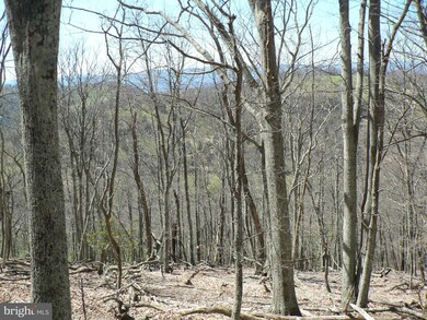 37 ACS Greenwalt Gap, Upper Tract, WV 26866 - photo 4