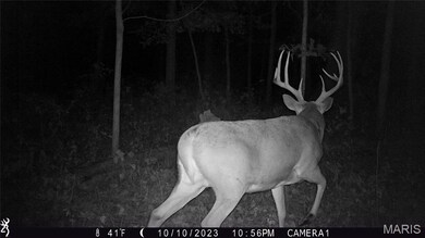 00 Union Grove Ave, Lagrange Township, IL 62246 - photo 7