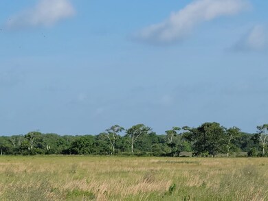 0 Cole Rd unit 776126, Bay City, TX 77414 - photo 4