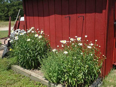 Storage. GREAT SIZE SHED WITH PERRENIALS SURROUNDI