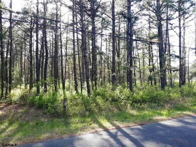 7521 3rd Ave, Mays Landing, NJ 08330 - photo 4