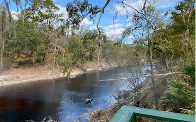 344 NW Null Rd, White Springs, FL 32096 - photo 5