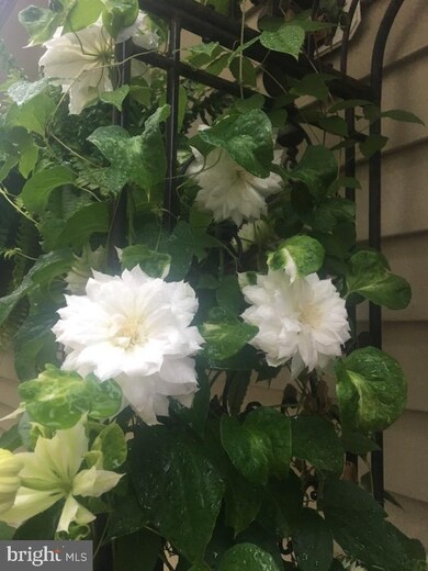 12031 Dawn Falls Way, Bristow, VA 20136 - photo 7