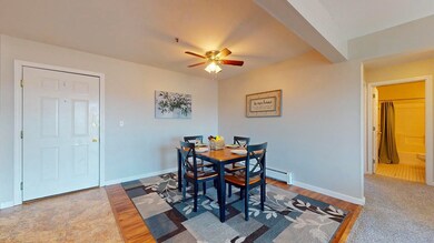 313 Hildred Dr unit 313, Burlington, VT 05401 - photo 4