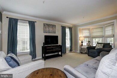 7959 Brightlight Place, Ellicott City, MD 21043 - photo 6