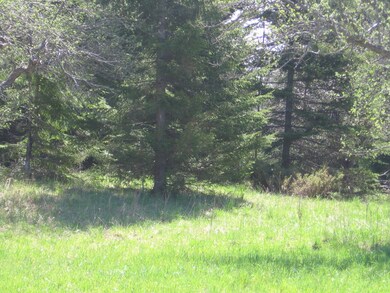 Property View 6