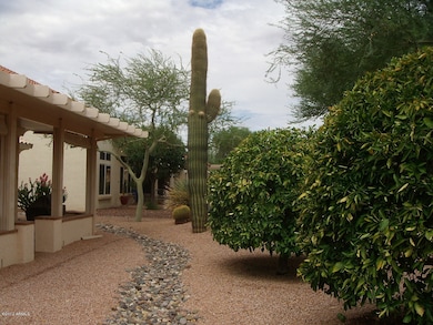 MAJESTIC SAGUARO AND CITRUS TREES