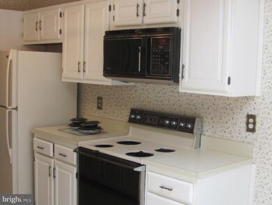 14208 Dove Creek Way unit 308, Sparks Glencoe, MD 21152 - photo 2