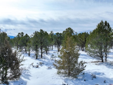 Lot 28 Fisher Canyon Dr, Ridgway, CO 81432 - photo 2