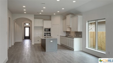 353 Lacey Oak Loop, San Marcos, TX 78666 - photo 3