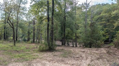 000 S Alley St unit Big Cypress River, Jefferson, TX 75657 - photo 6
