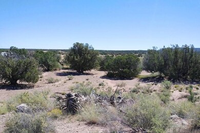 3992 Sorrel Rd, Snowflake, AZ 85937 - photo 4