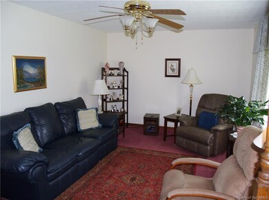 Ceiling Fan and Carpet in Living Room