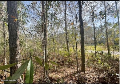 0 Dailey Rd unit 4125859, Gautier, MS 39553 - photo 2