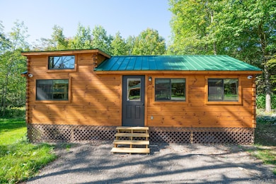 2155 Ed Klug Rd, Franklin, NY 13775 - photo 3