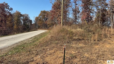 527 Chestnut Grove Cemetery Rd, Bonnieville, KY 42713 - photo 3