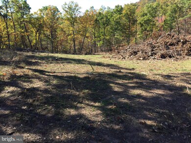 0 Hershel Ln unit 1000563629, Hedgesville, WV 25427 - photo 5