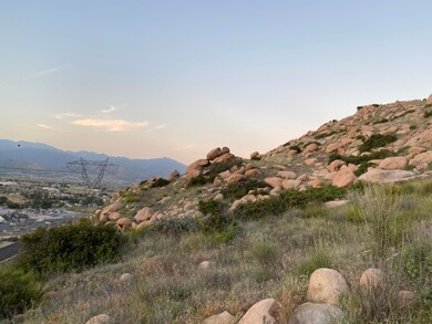 IMG_0217